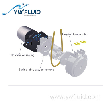 12V/24V self-priming peristaltic Pump